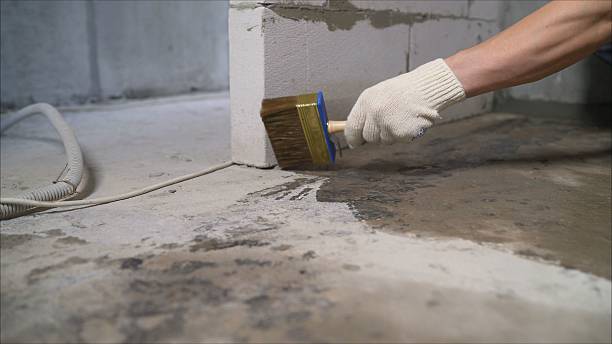 Top rated local Waterproofing specialists in Coopersville, MI